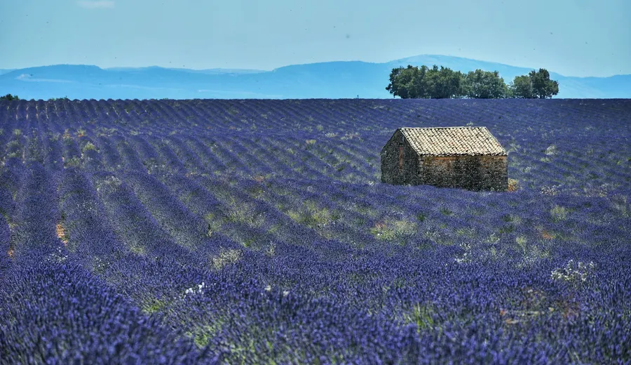 Jour 4 en Provence