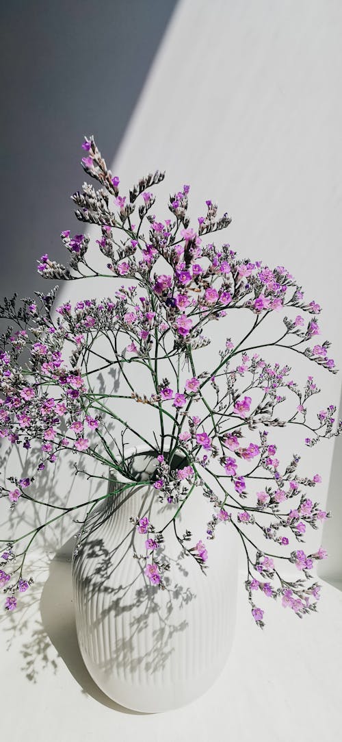 Sea Lavenders  in a Flower Vase