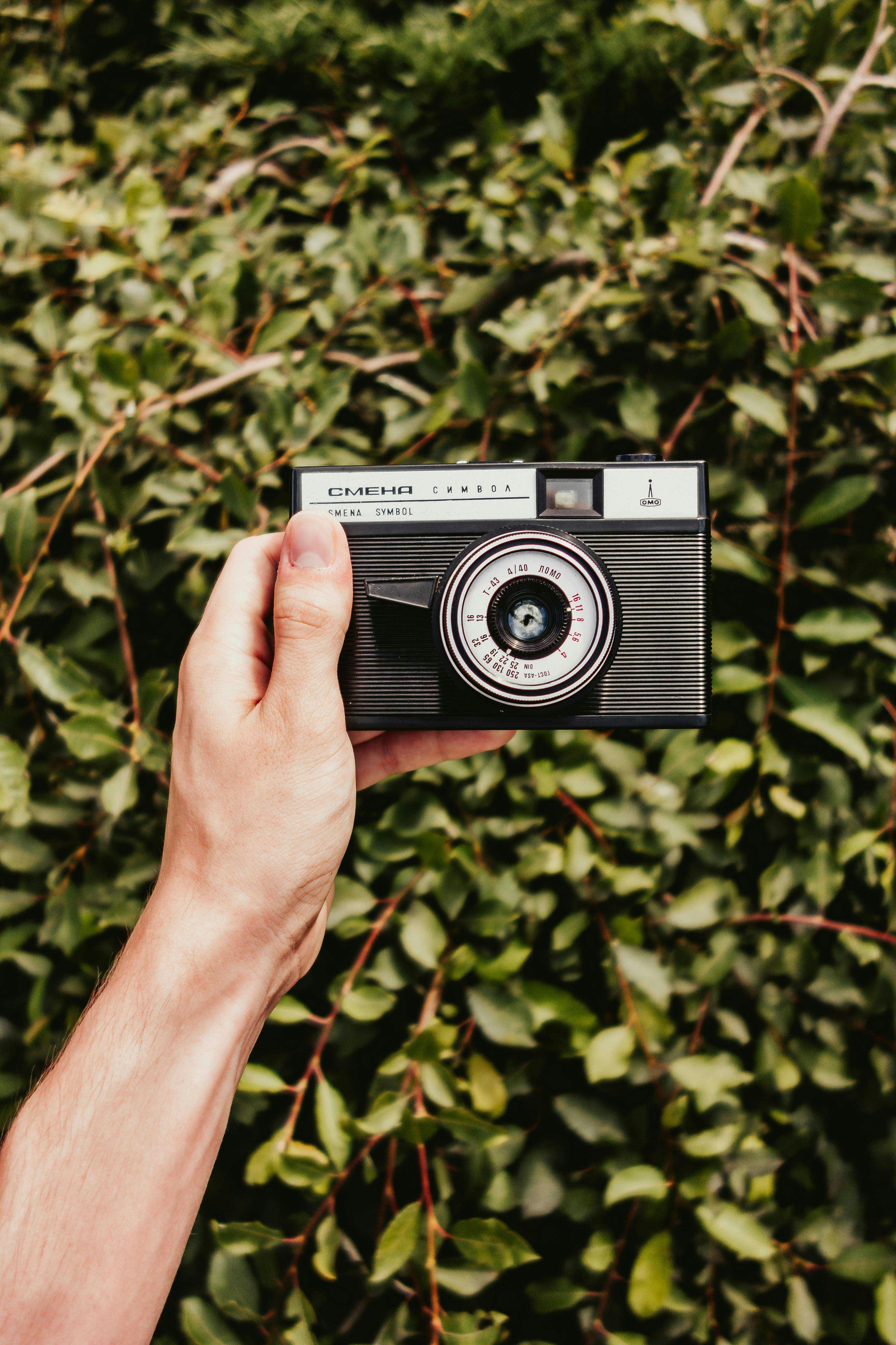 Hand holding a vintage camera in front of lush green foliage, capturing a classic nostalgic vibe.