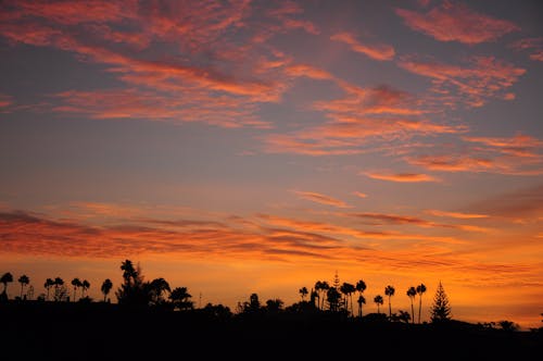 Free stock photo of beautiful sunset, canary island, dawn