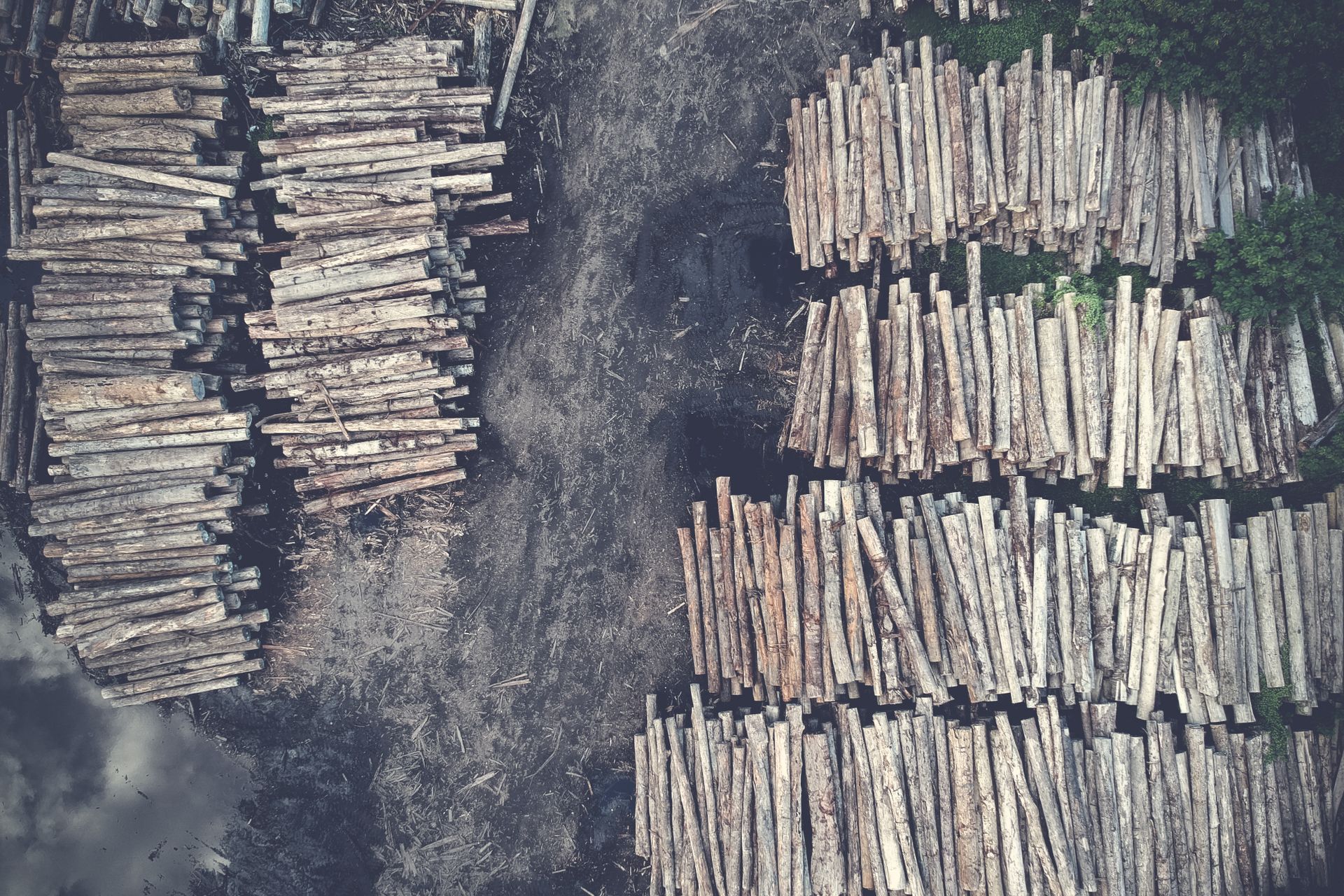 Aerial view of neatly stacked firewood logs in a natural outdoor setting