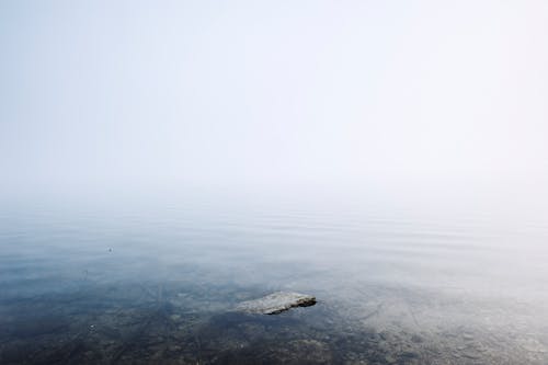 天性, 岸邊, 有霧 的 免费素材图片