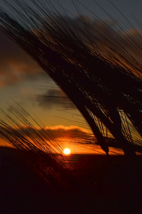 Безкоштовне стокове фото на тему «вертикальні постріл, ефектне небо, Захід сонця»