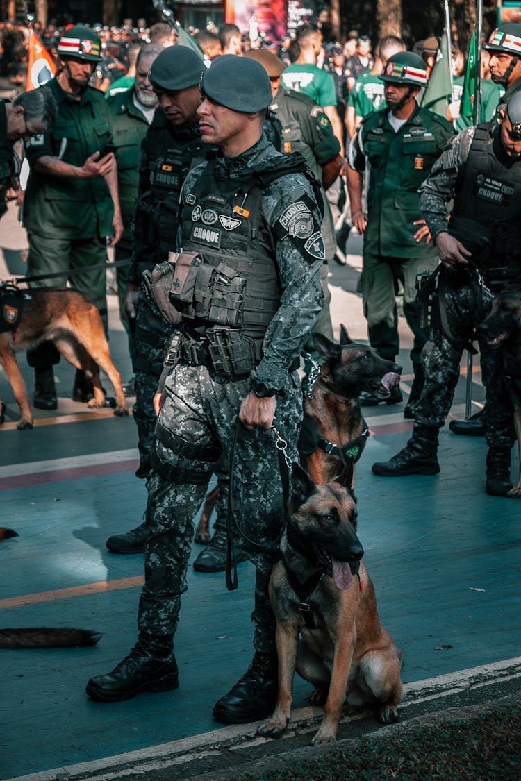 Soldier With A Dog During An Event