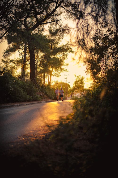 Free People Walking on Road Between Trees Stock Photo