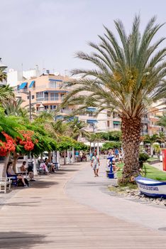 Picturesque view of a sunny promenade with palm trees in Los Cristianos, Spain, ideal for tourism and leisure.