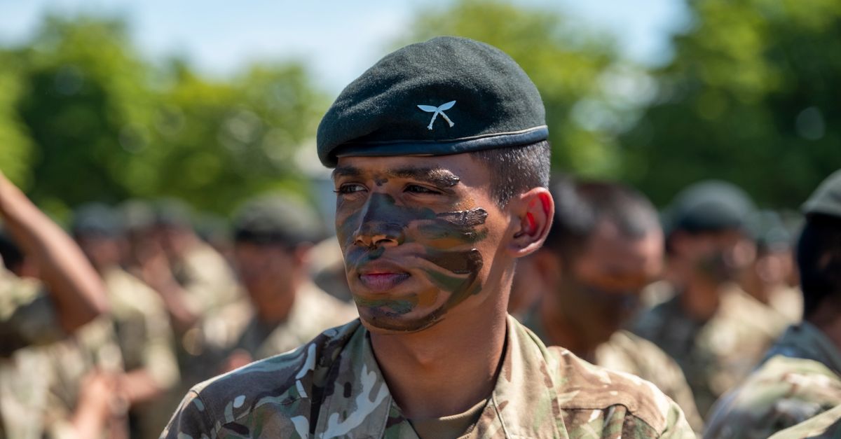 US Army to screen all male soldiers for low testosterone: Experts flag fertility risks