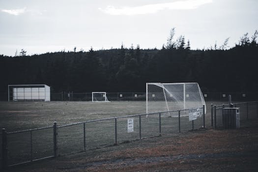 A tranquil view of an empty soccer field with goals surrounded by a fence and forest.