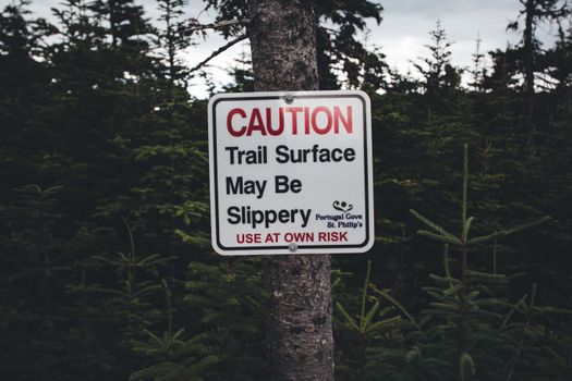 Caution sign warning of slippery trail surface in a dense forest area. Adventure awaits.