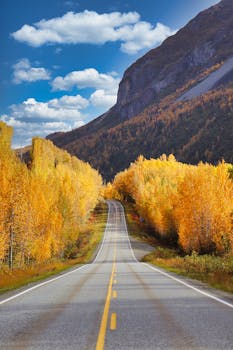 A picturesque autumn road in Alaska with golden trees and a majestic mountain backdrop.