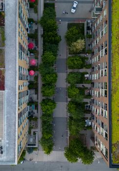 Top-down view of urban buildings and green alley in Ottawa, Canada.