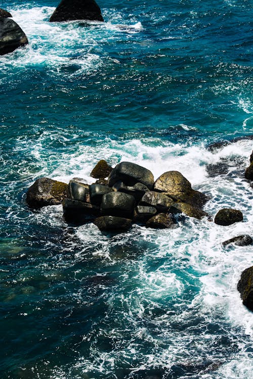 Imagine de stoc gratuită din coastă, face cu mâna, fotografie cu natură