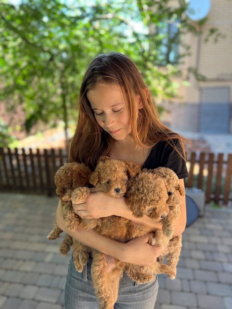 Cute Girl Embracing Teddy Bears