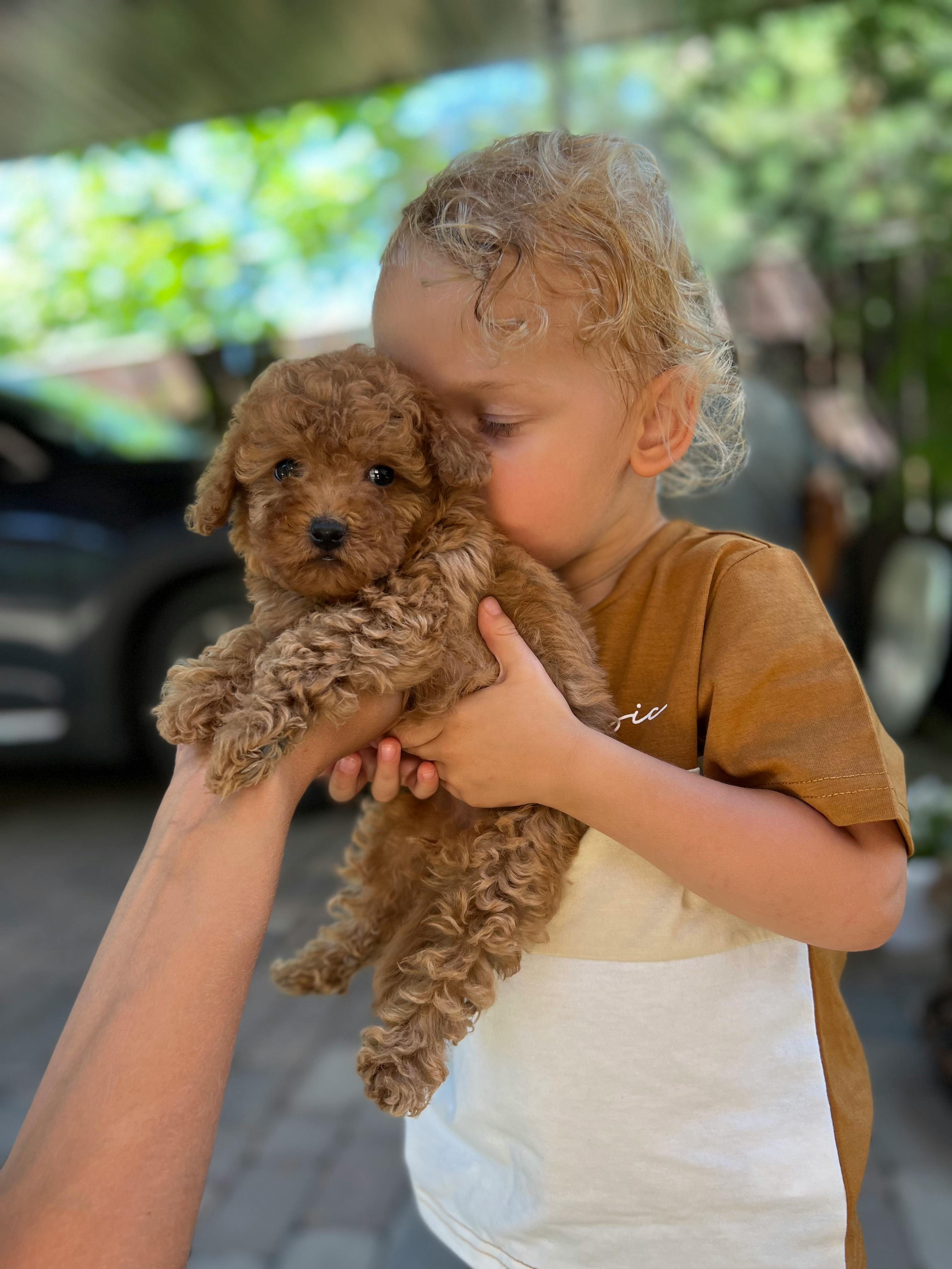 A young child cuddles a cute brown puppy outdoors on a sunny day, exuding warmth and affection.