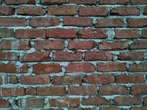 Free Close up of a Brick Wall  Stock Photo