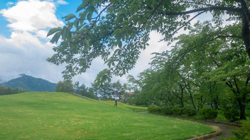 Fotobanka s bezplatnými fotkami na tému naturebackground