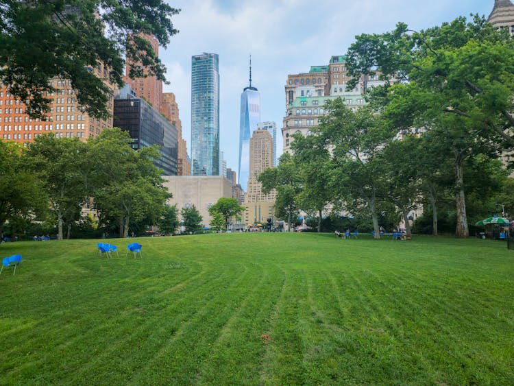 A Green Lawn Near City Buildings