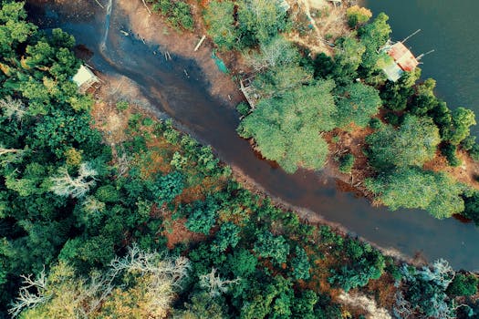 航拍照片捕捉到了充满活力的景观、蜿蜒的河流和茂密的树木