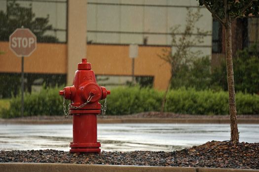 A red fire hydrant stands prominently in a rainy urban parking lot with a stop sign in view.