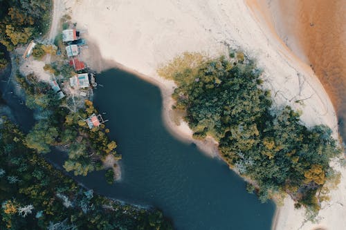 Ağaç Ve Su Kütlesinin Havadan Fotoğrafçılığı