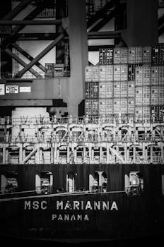Monochrome image of MSC Marianna cargo ship docked at Hamburg harbor.