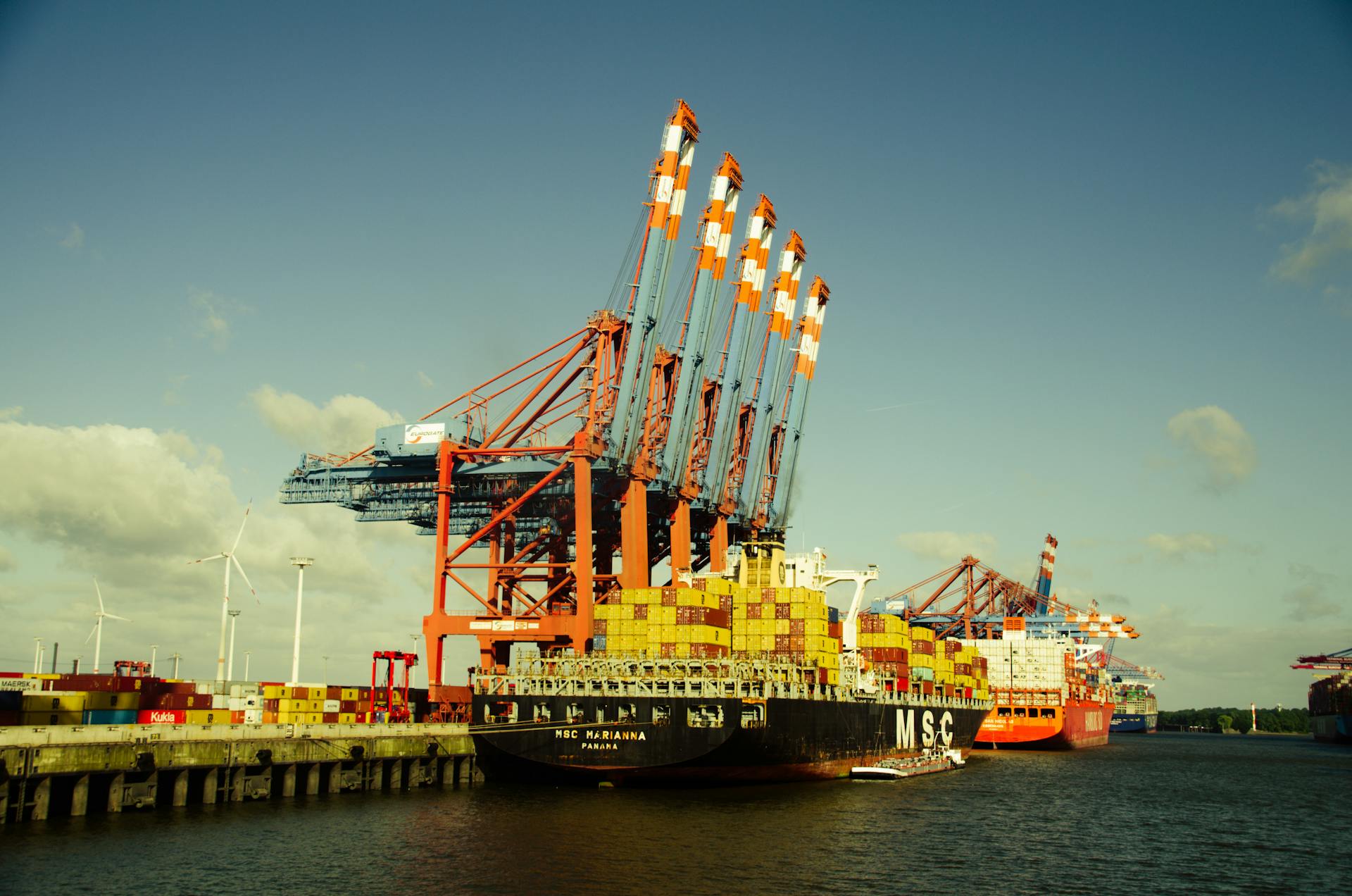 Container ships docked at Hamburg port with large cranes and shipping containers.