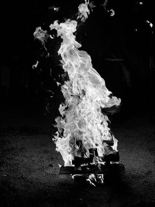 Grayscale Photo of Burning Wood on the Ground
