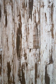 Wood texture