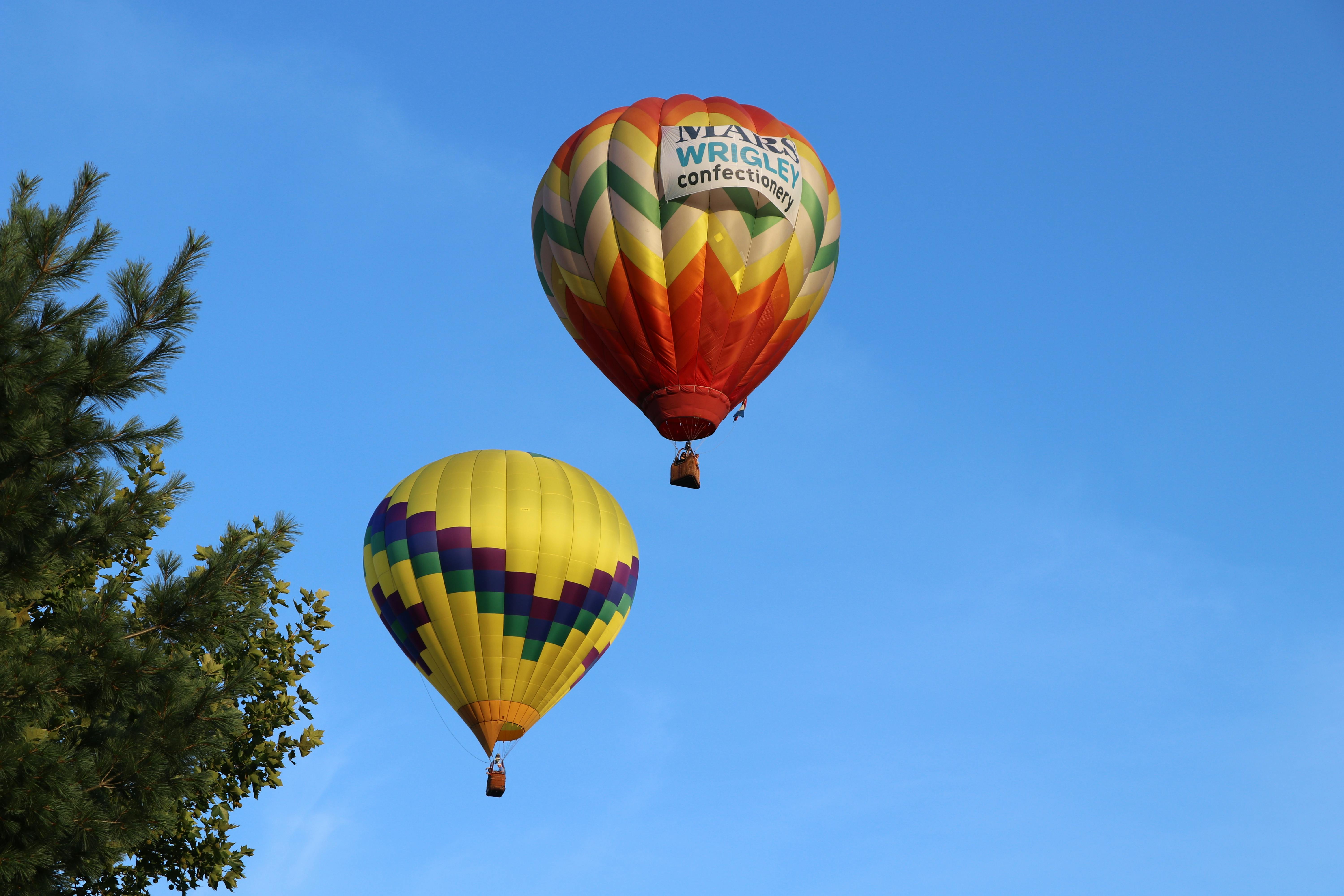 Free stock photo of hot air balloons