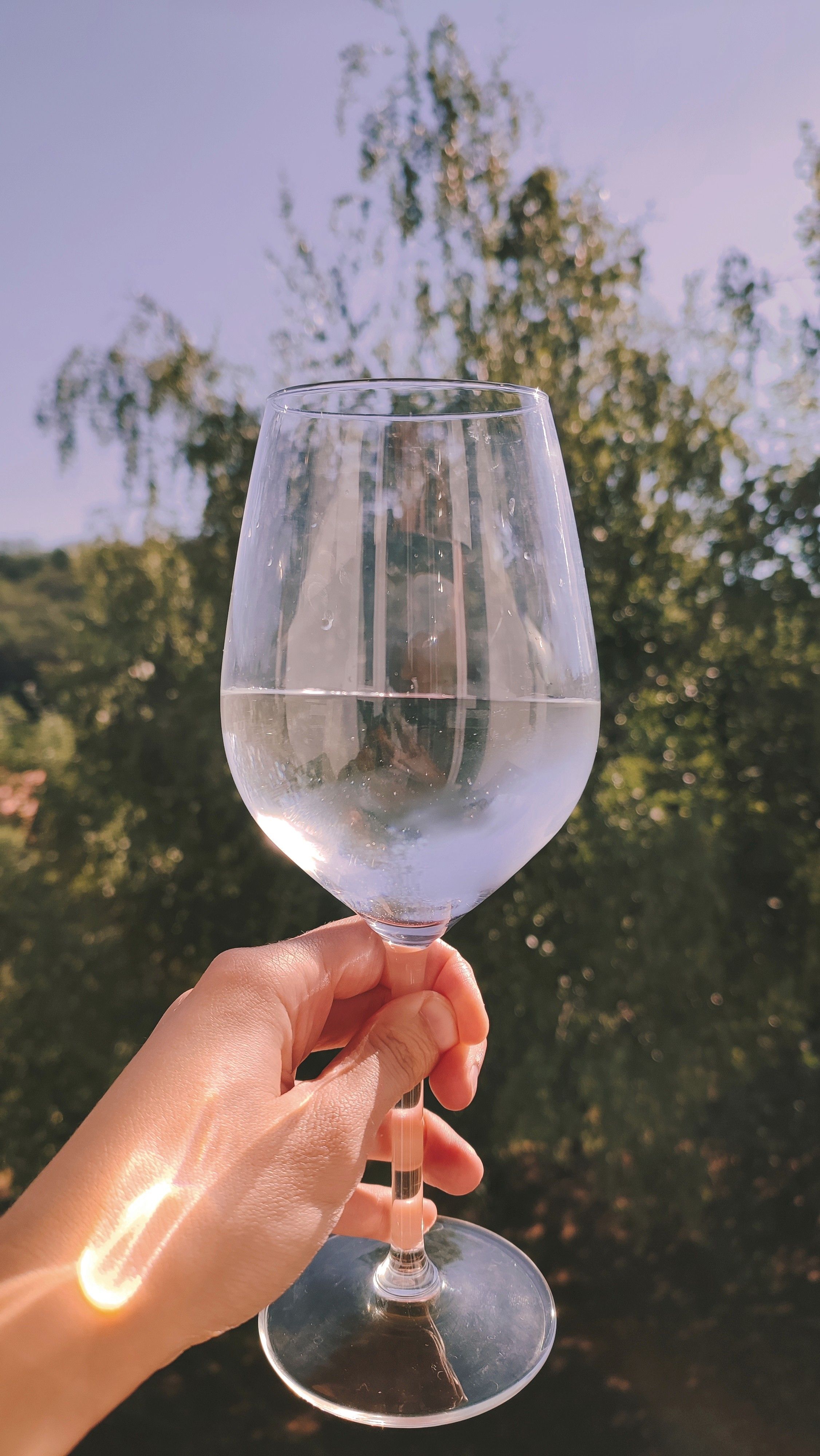 A close-up view of a hand holding a wine glass with water against a sunny outdoor background.