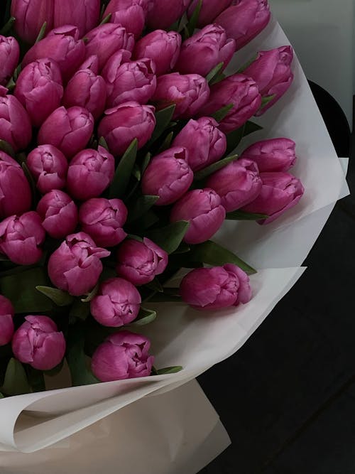 Bouquet of Pink Tulips