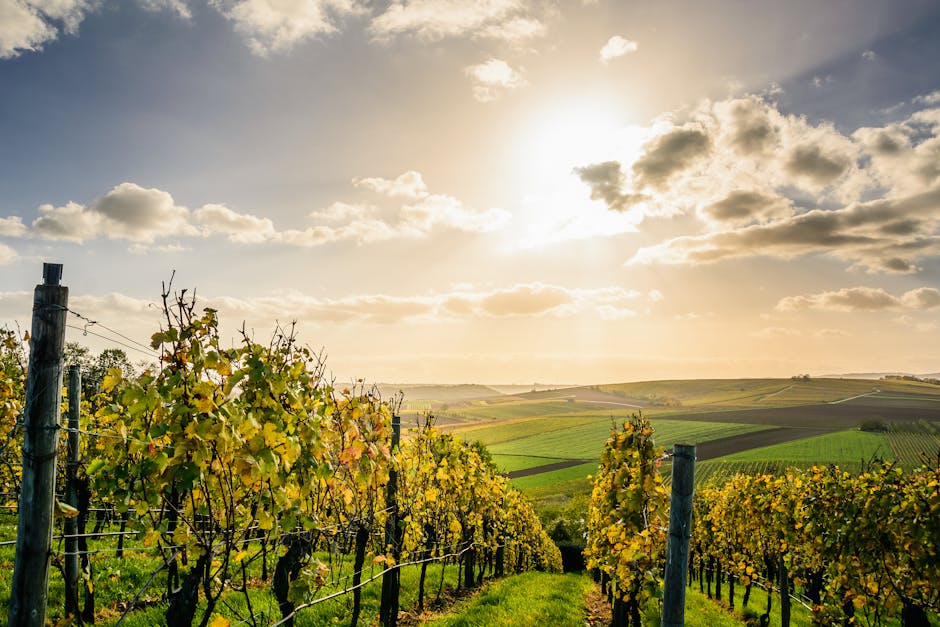 Weg unter Wolken und blauem Himmel