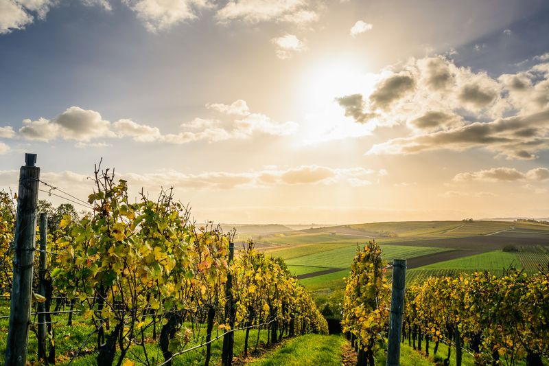 Rioja