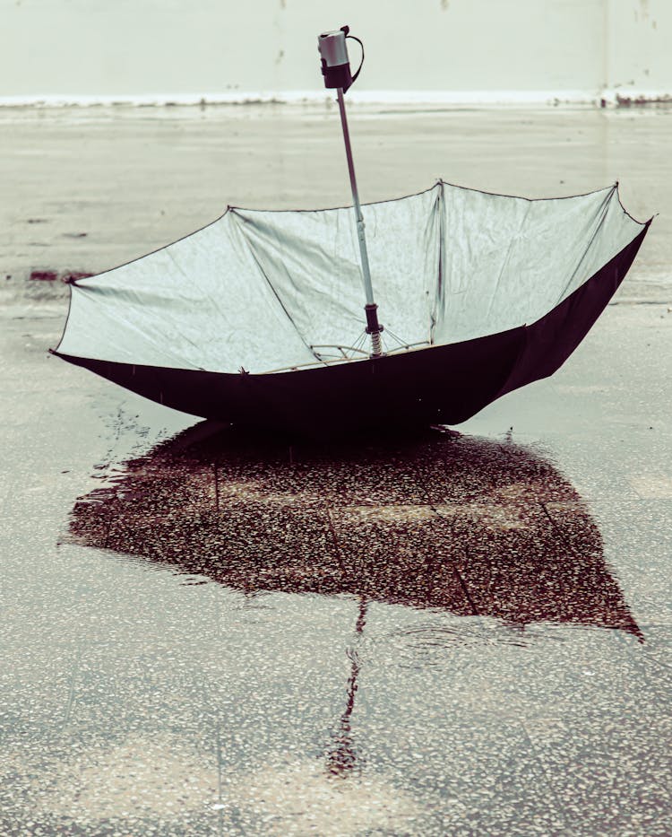 Upside Down Black Umbrella On Wet Ground