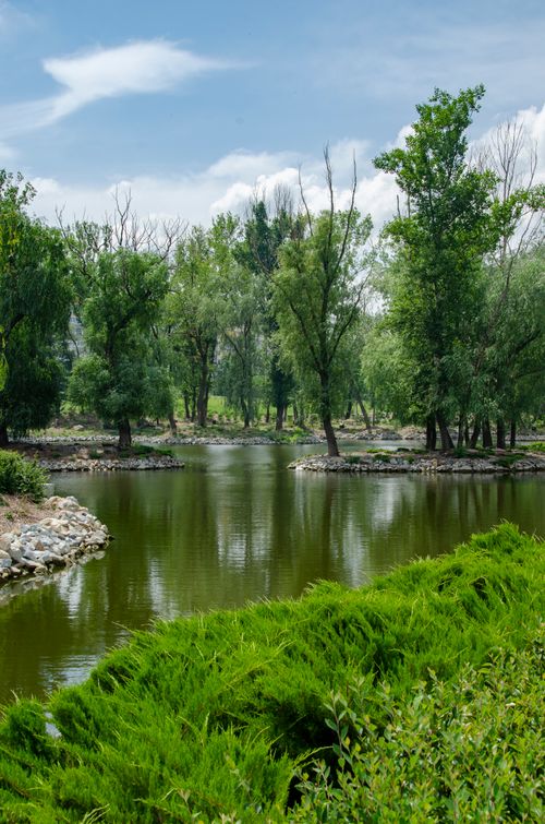 Free Tranquil pond surrounded by lush greenery and trees reflecting in the water under a clear blue sky. Stock Photo