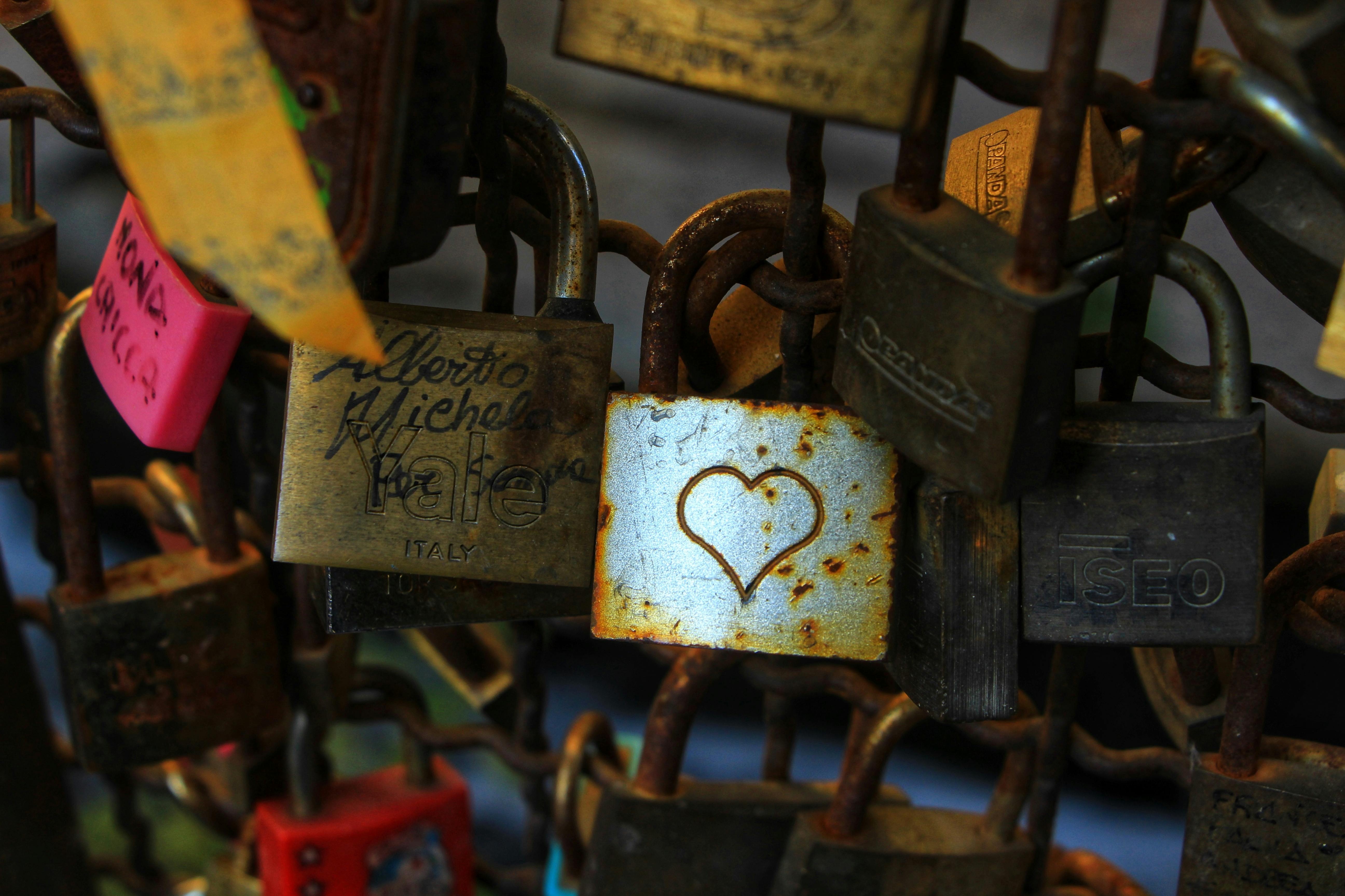 Two Stainless Steel Padlocks · Free Stock Photo