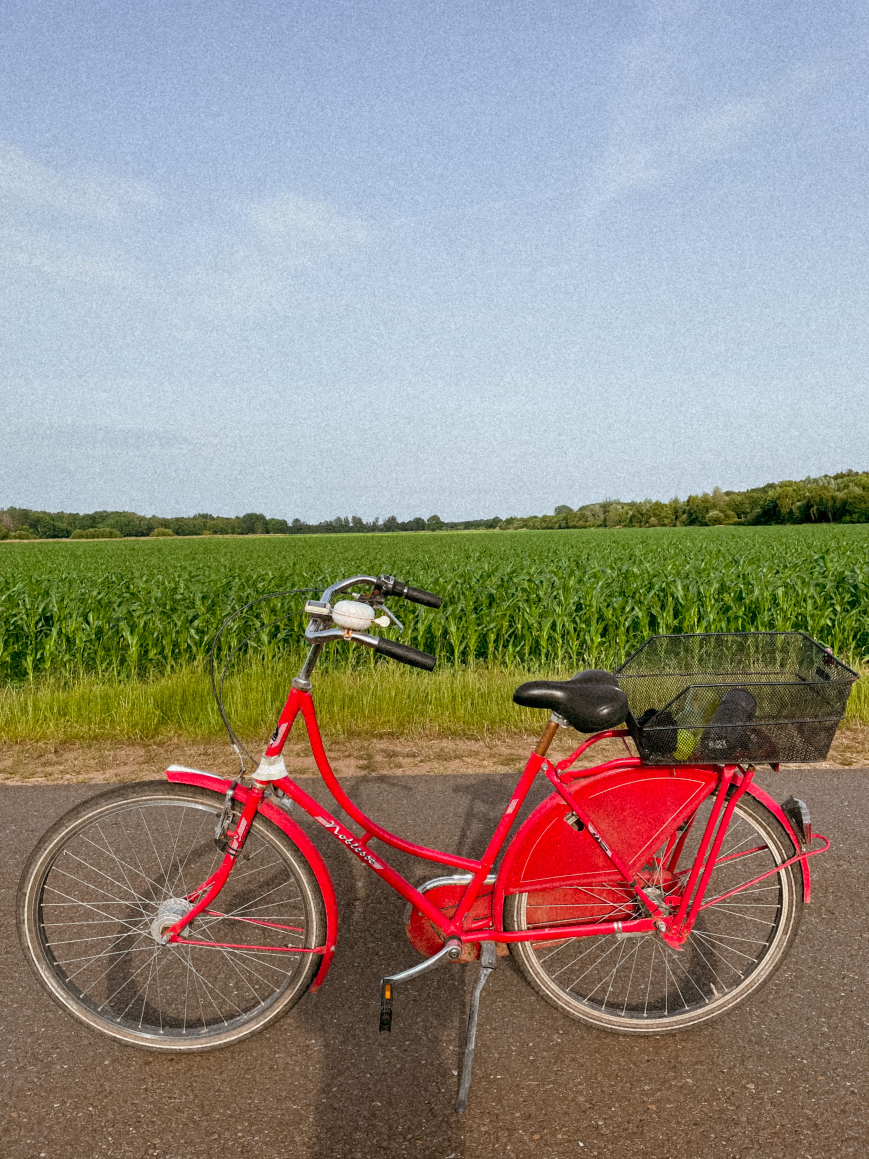 Fiets kopen dames aanbieding in fietsenwinkel met verschillende modellen