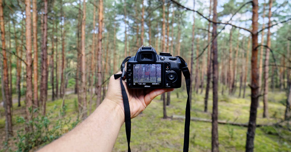 Person Showing Black Dslr Camera in Forest