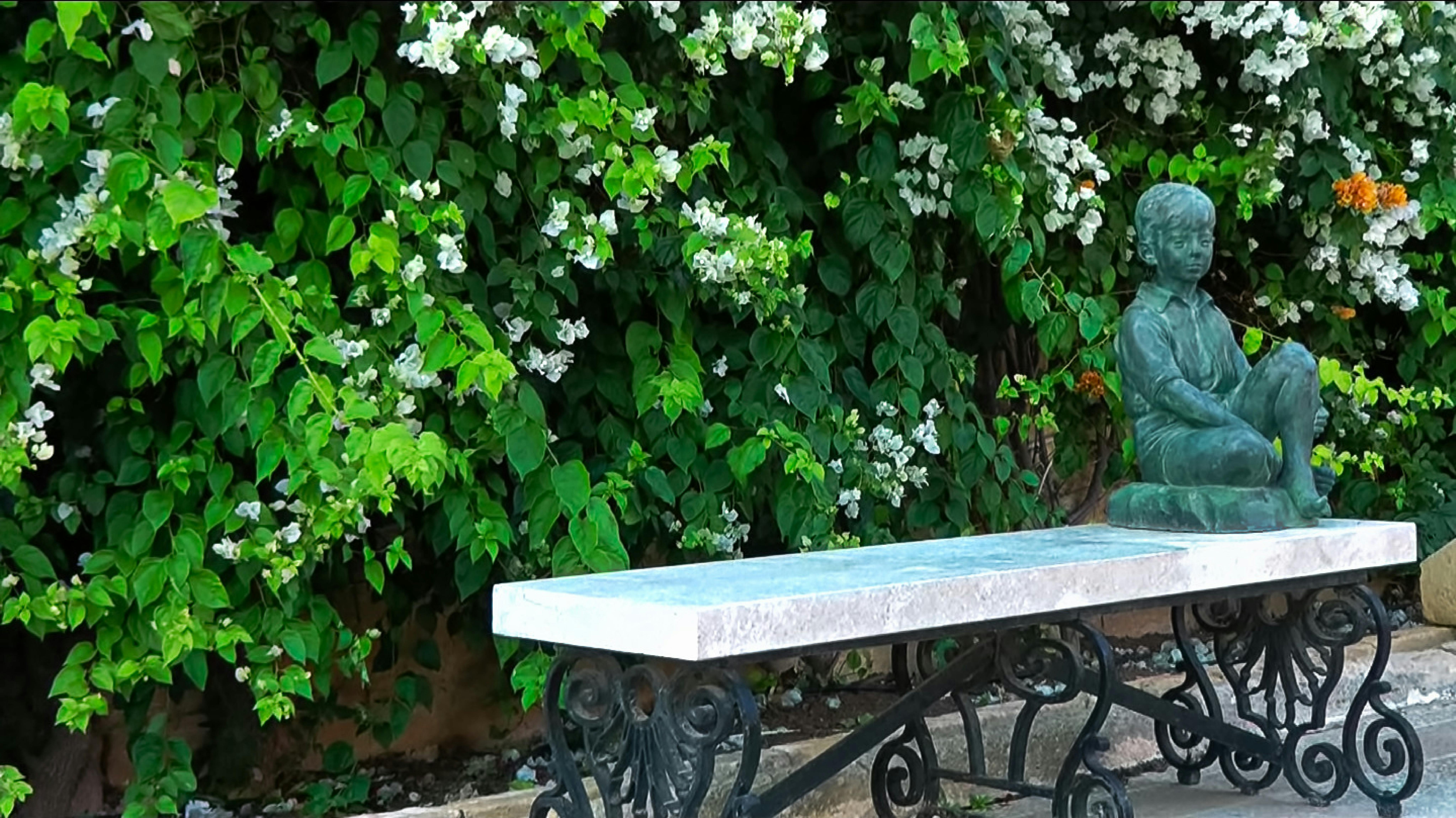 Free stock photo of garden, park bench, sculpture