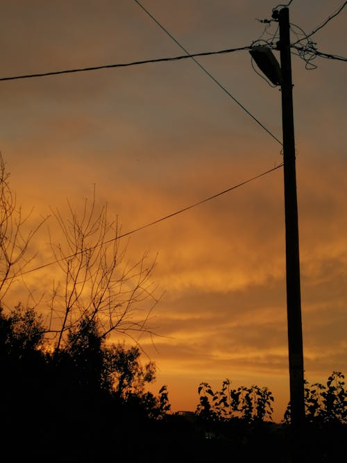 Silhouette of an Electric Post during Sunset
