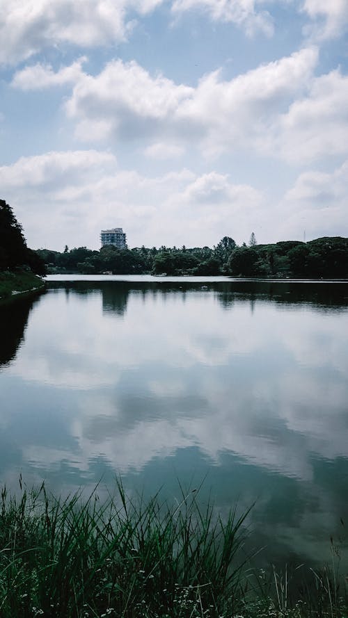 강, 구름 낀 하늘, 수직 쐈어의 무료 스톡 사진