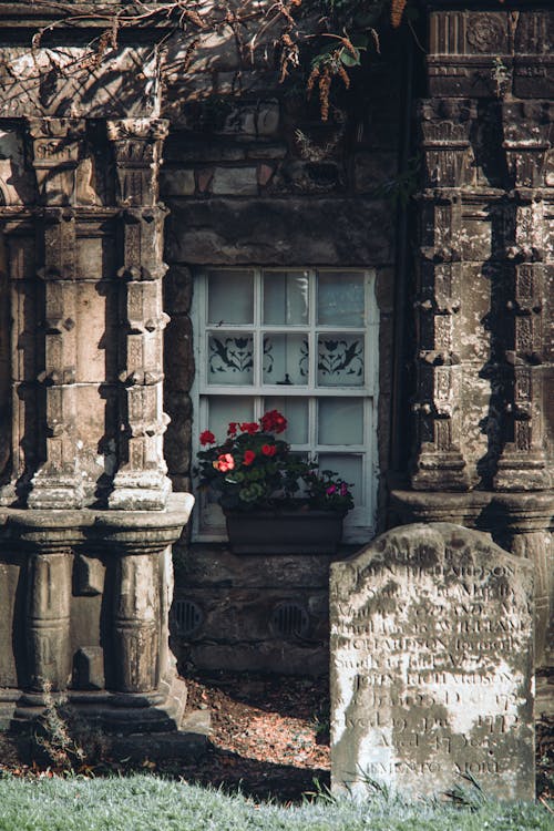Gratis Foto stok gratis bangunan, bunga-bunga, jendela Foto Stok