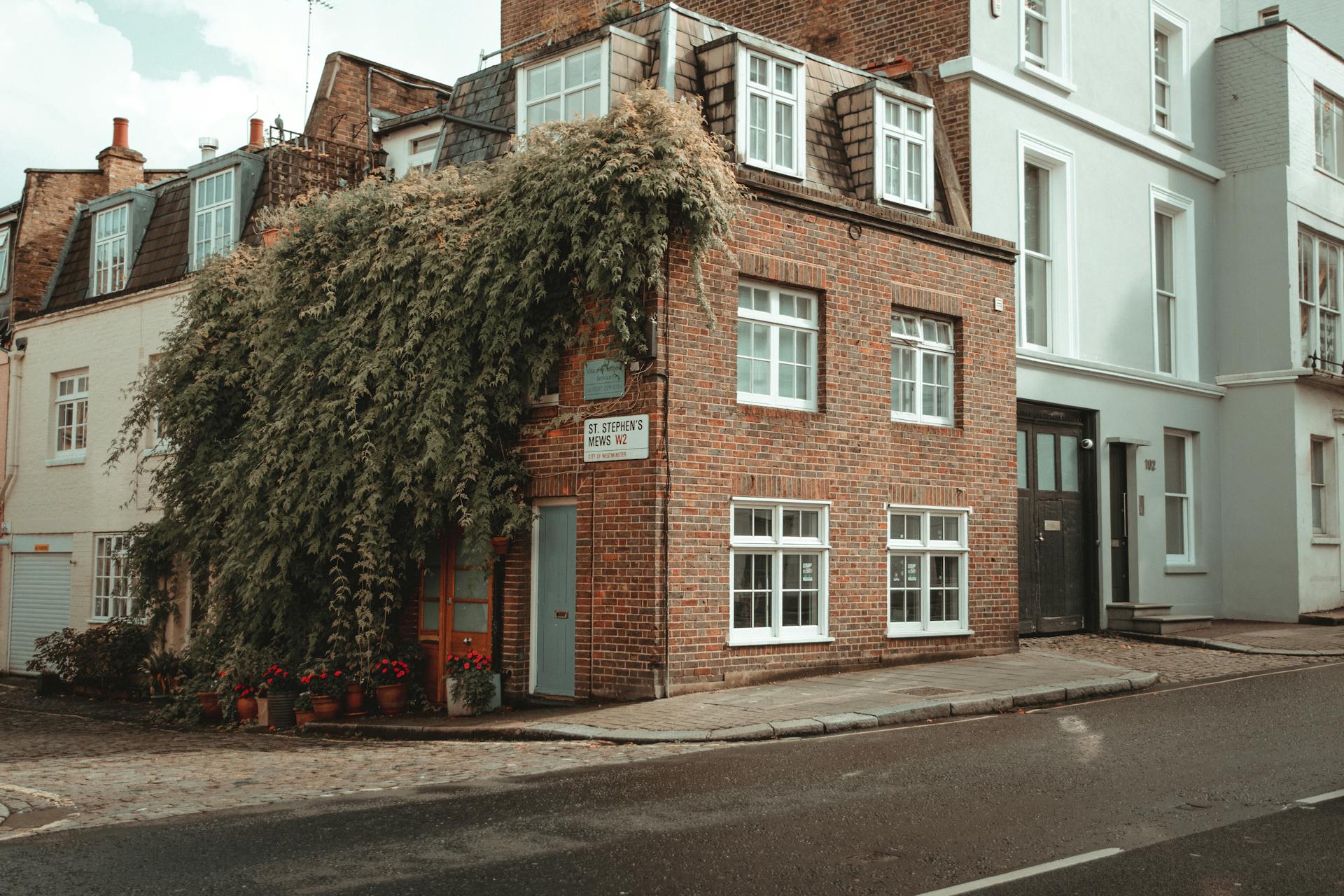 Brick Apartment Building with a Vine Plants on Walls