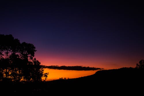ağaç, akşam karanlığı, altın saat içeren Ücretsiz stok fotoğraf
