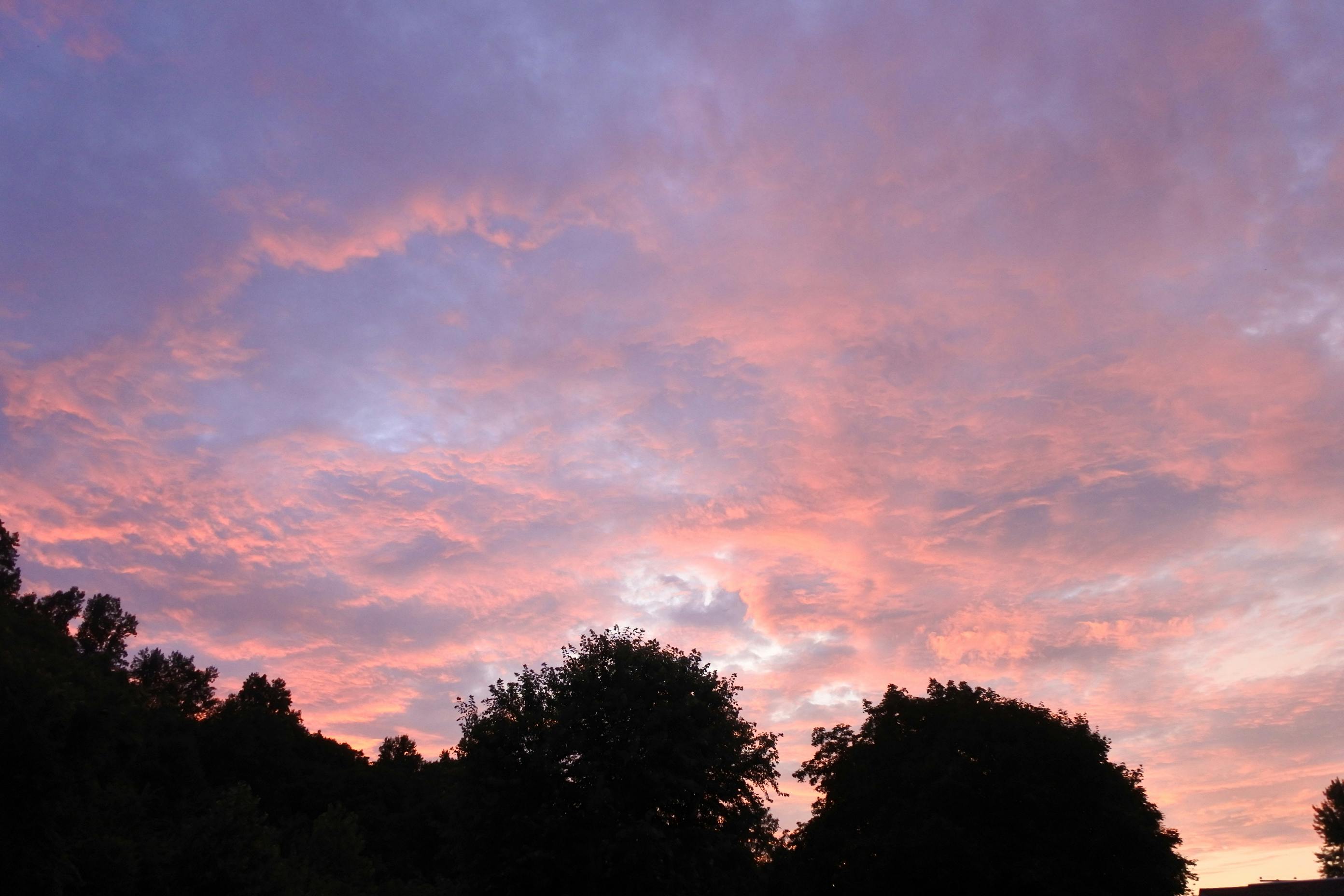 Free stock photo of pink sky