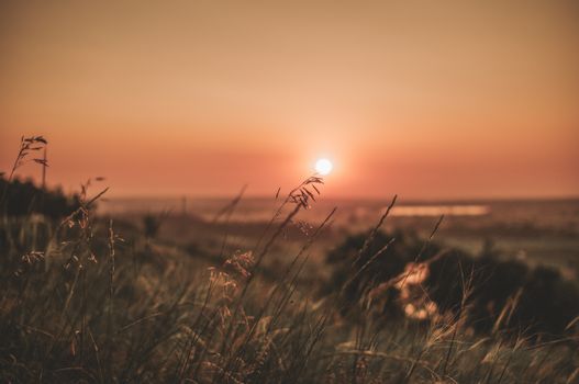 A warm and peaceful sunset over a natural grassland landscape, offering calm and serenity.
