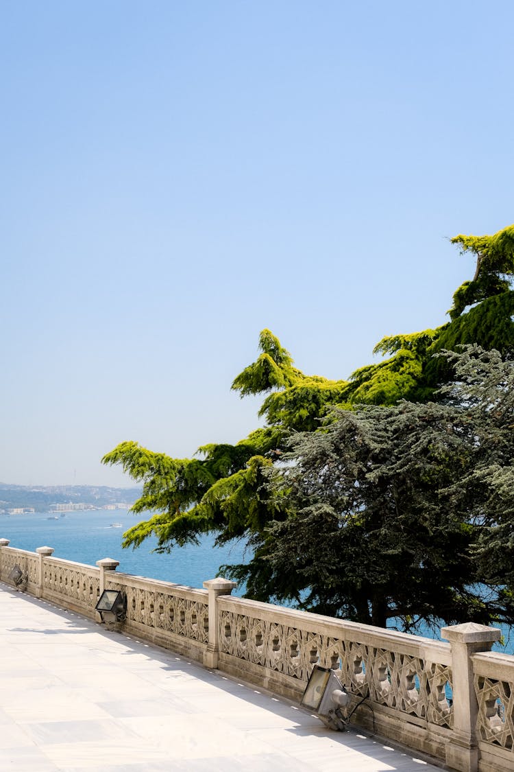 Photo Of A Terrace, A Tree And A Sea