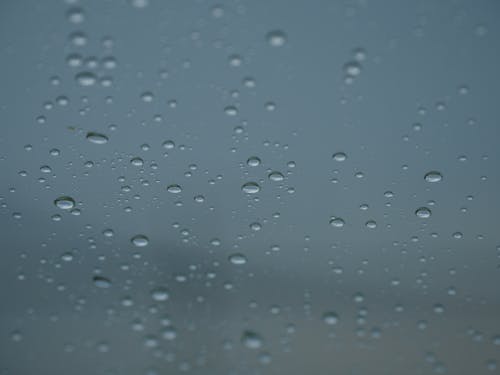 Close Up Photo of Rain Drops