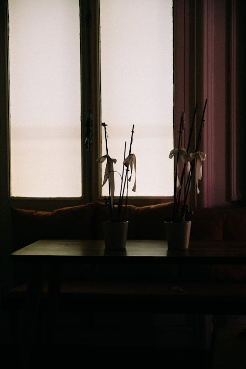 Darmowe zdjęcie z galerii z kurtyna, kwiaty, okna