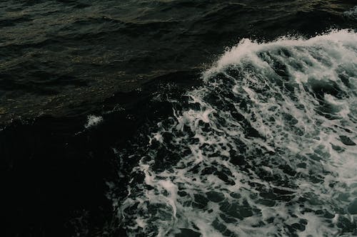 Základová fotografie zdarma na téma detail, mávání, moře
